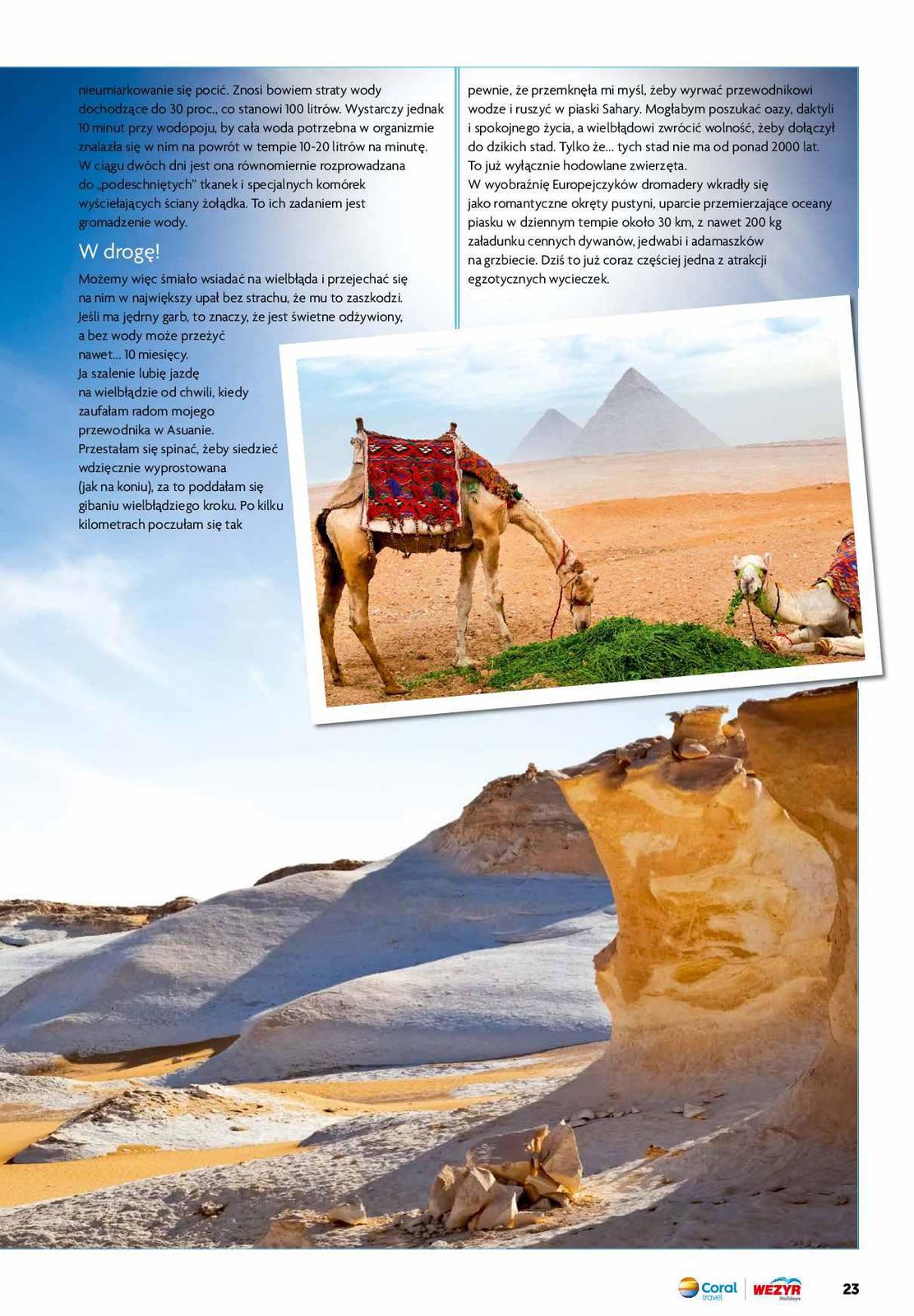 Gazetka promocyjna Wezyr Holidays str. 25