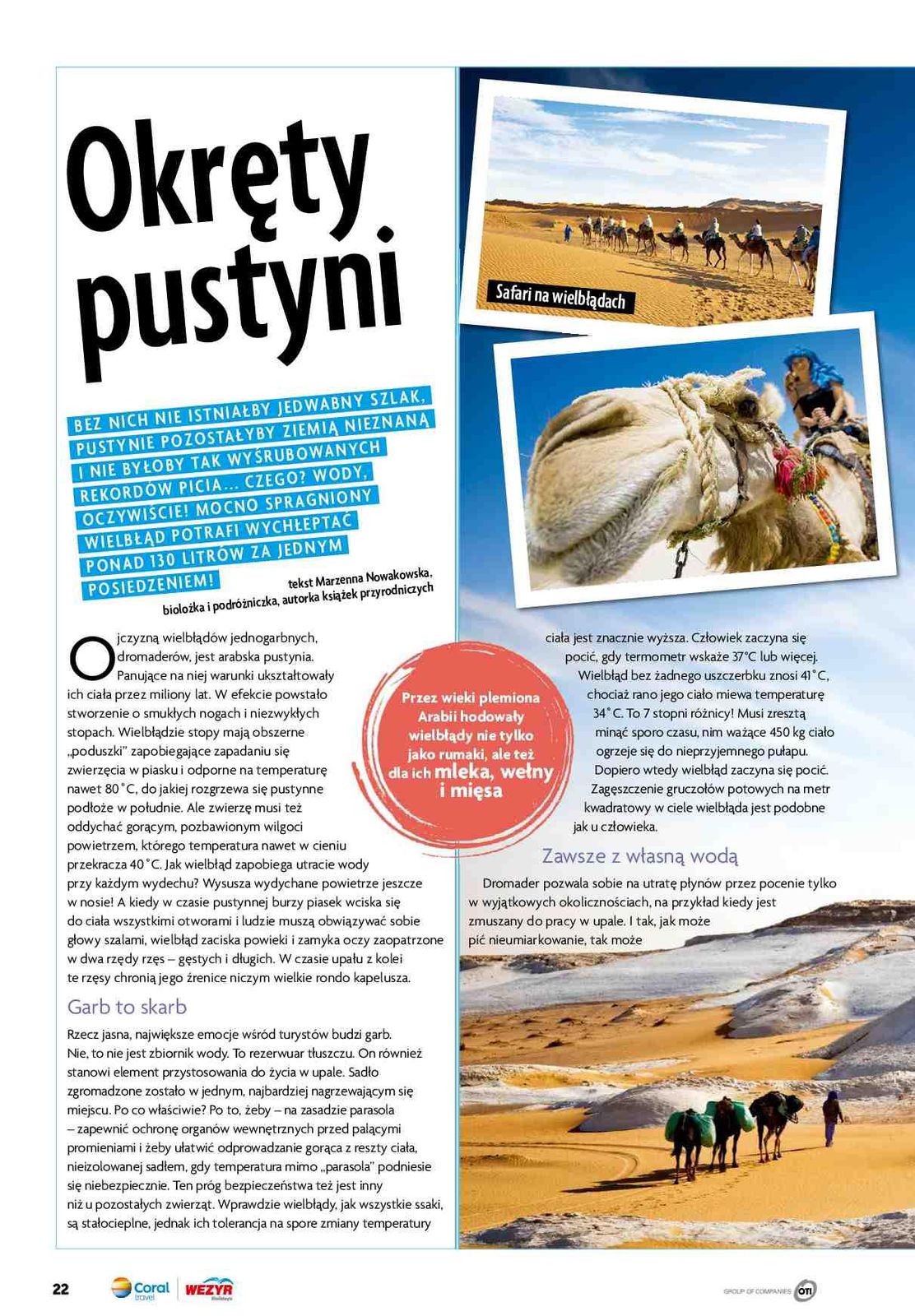 Gazetka promocyjna Wezyr Holidays str. 24