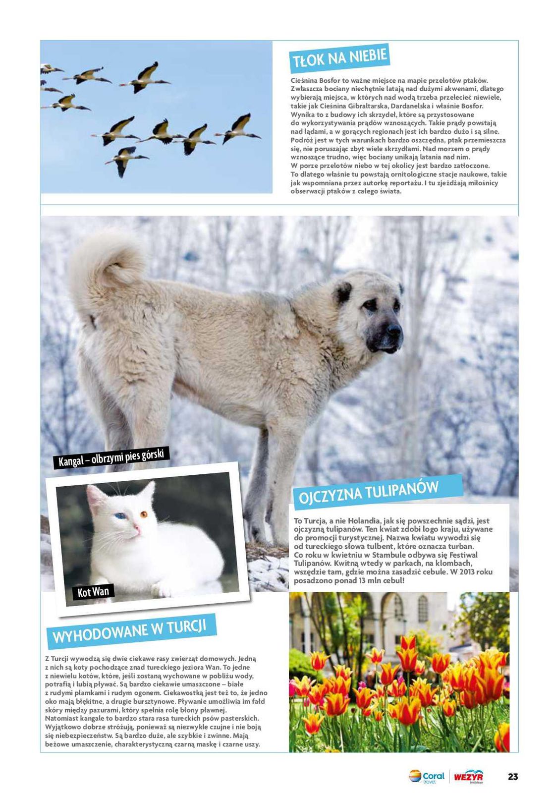Gazetka promocyjna Wezyr Holidays str. 25